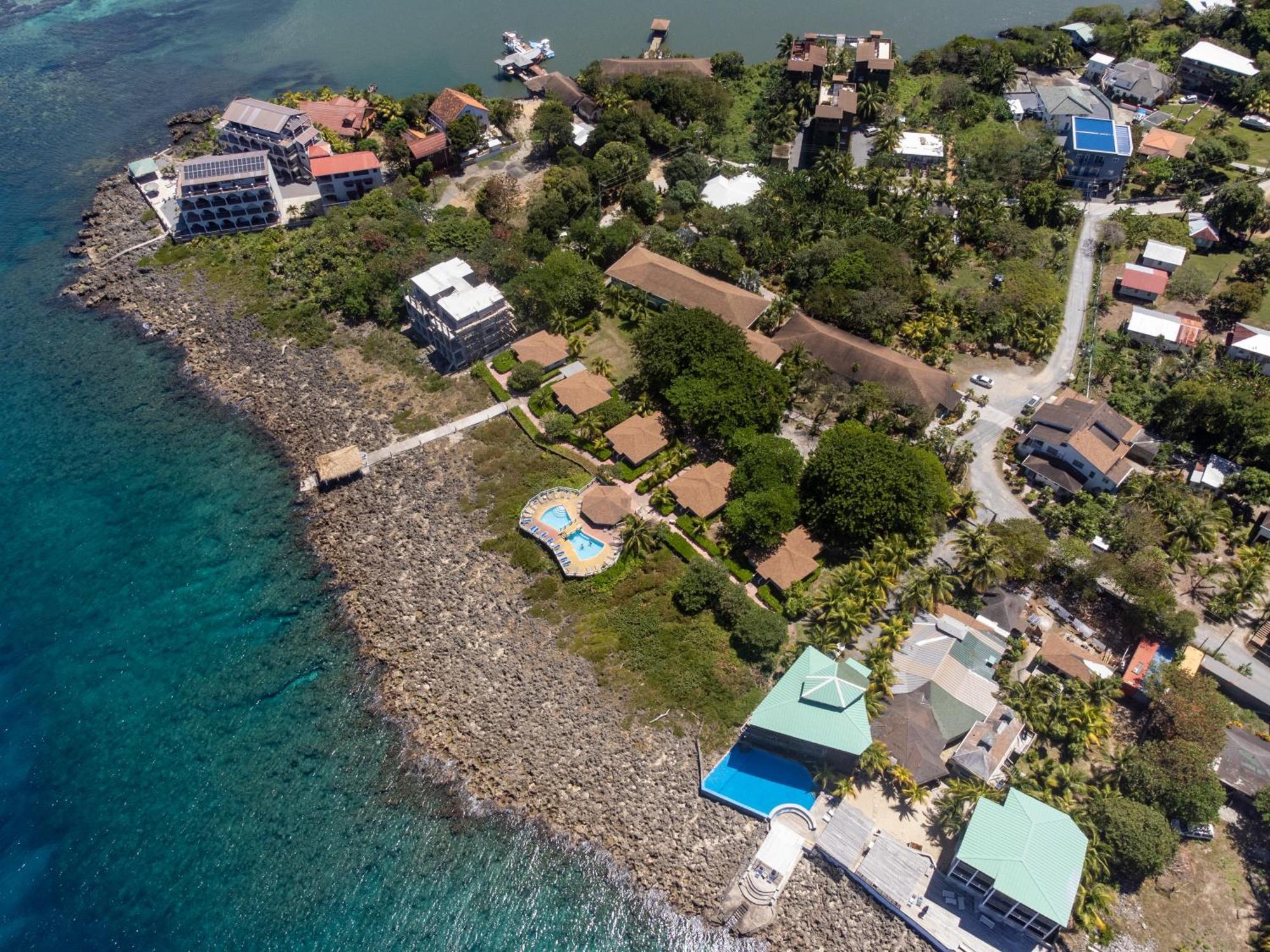 Seagrape Plantation Resort & Dive Center West End Εξωτερικό φωτογραφία