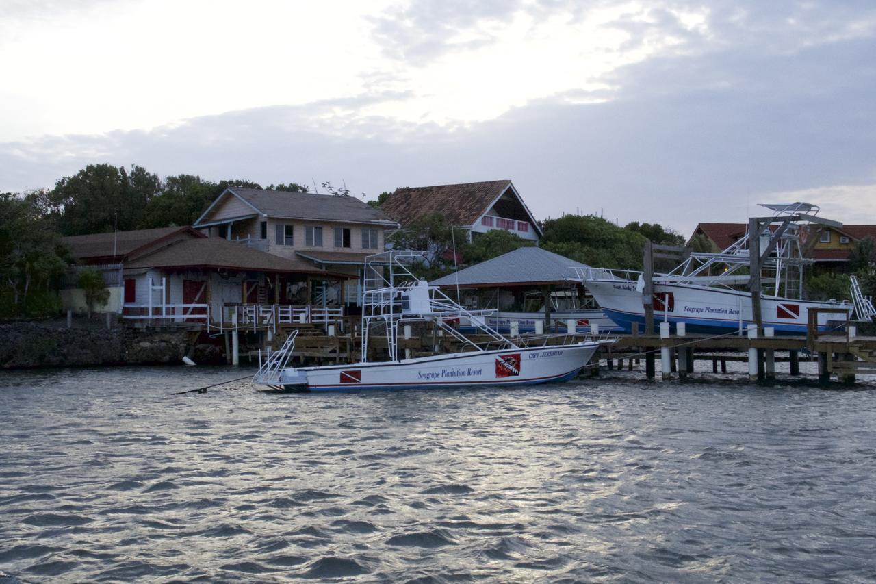 Seagrape Plantation Resort & Dive Center West End Εξωτερικό φωτογραφία